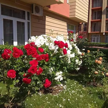 Apartament Студия-Комфорт На Солнечном Берегу В Болгарии *